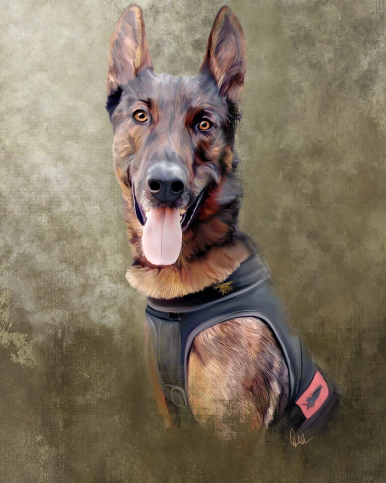 Custom digital painting of Navy Seal dog K9 Cairo a Belgian Malinois, 16x20 inches, commissioned pet portrait. Featured in the book No Ordinary Dog