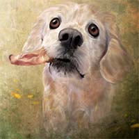 Avatar for Annemarie