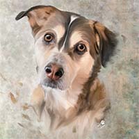 Avatar for Jes : Bark & Gold Photography