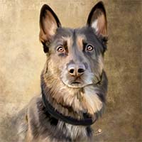 Avatar for Edward & Retired K9 Jerry-Lee