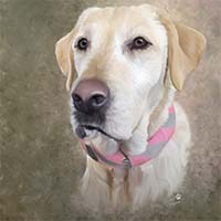 Avatar for Margaret and Dave