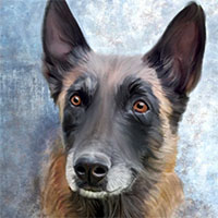 Avatar for Chris & K9 Kleio