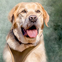 Avatar for Christina