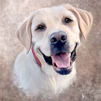 Avatar for Team K9 Ziva