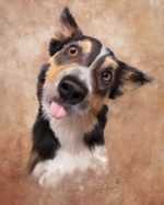 painting of dog named named Bebop