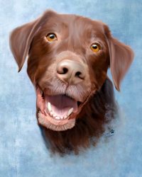 Custom digital painting of my rescued dog Dozer, 16x20 inches , pet portrait