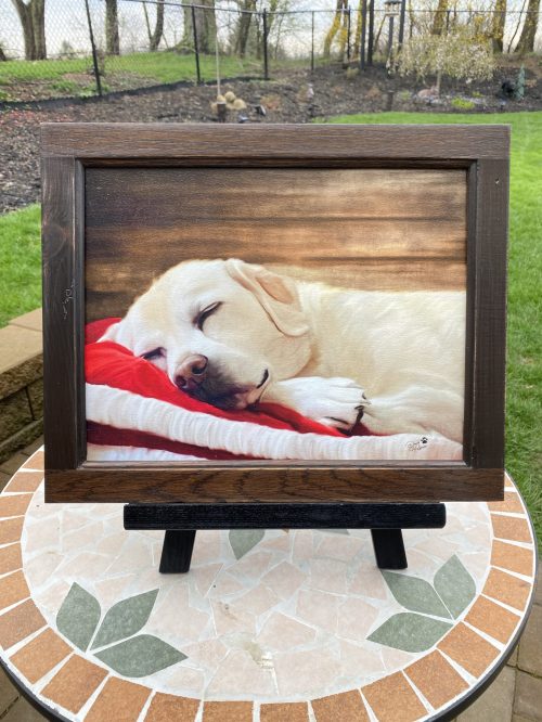 painting of sleeping Labrador Retriever