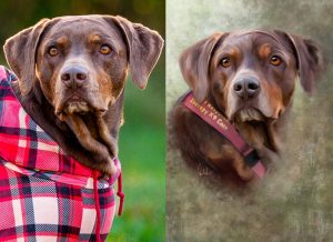 Wet Nose Creative- Coco-BA