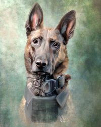david-holzemer-wetnosecreative-k9-tango-painting