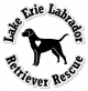 labRescue-logo