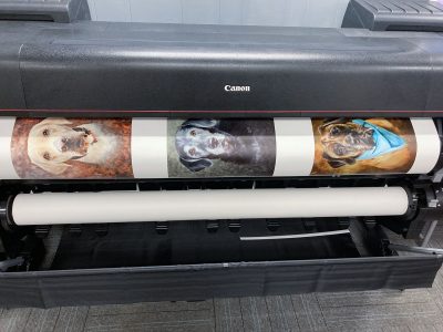 Paintings being printed